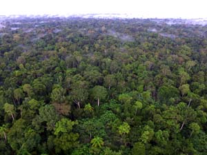 tl_files/bilder/Aktuell/Foto Reserva.JPG